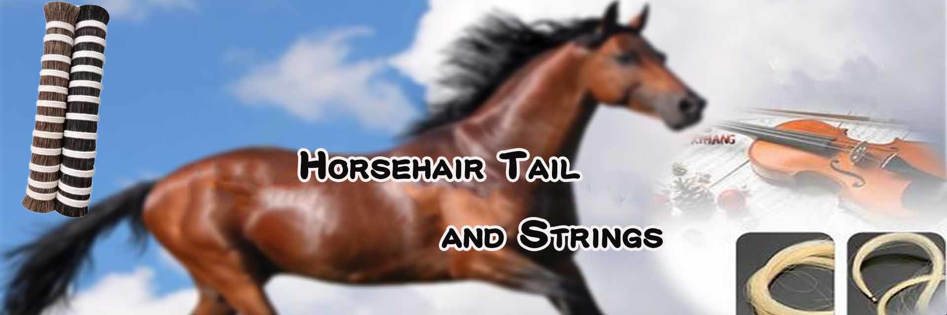 गुणवत्ता घोड़े के बाल अयाल एक्सटेंशन फैक्टरी